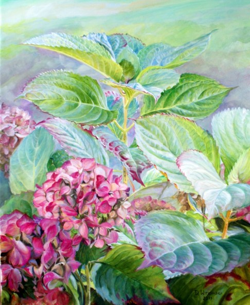 Hortensje 2.jpg