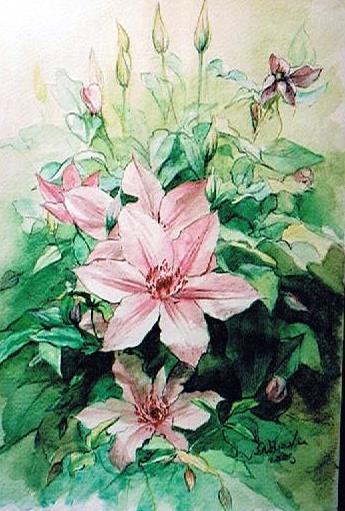 clematis.jpg