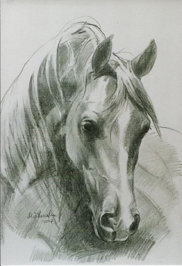 portret koia 4, 45x32.jpg