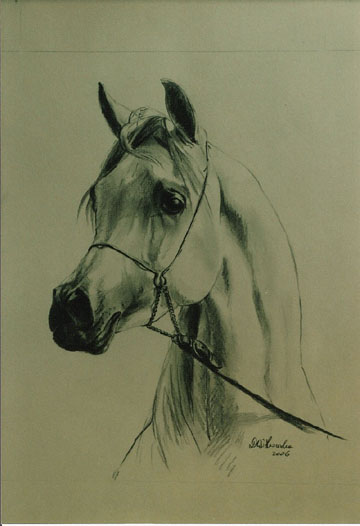 portret konia 2, 45x32.jpg