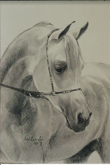 Portret konia 45x32.jpg